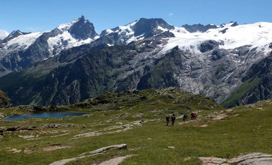 Les Ecrins avec un âne - Photo 1