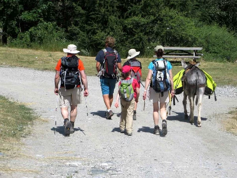 Les Ecrins avec un âne - Photo 2