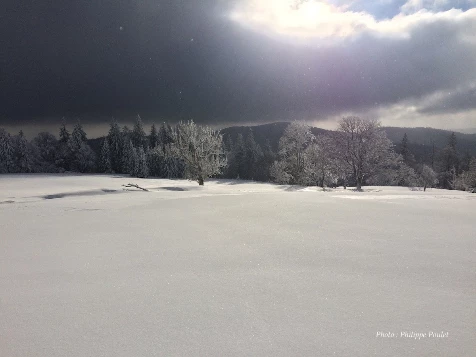 Rando Hivernale & bien-être dans les Vosges - Photo 6