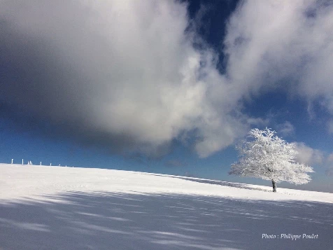 Rando Hivernale & bien-être dans les Vosges - Photo 5