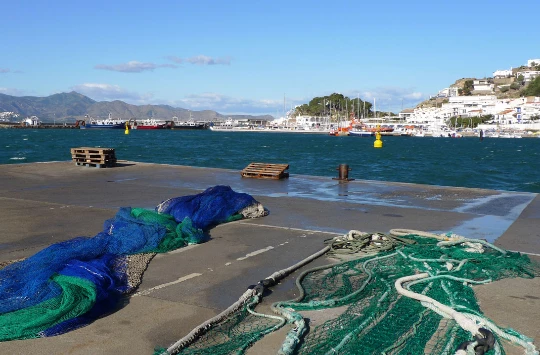 WE Réveillon Collioure en liberté - Photo 1