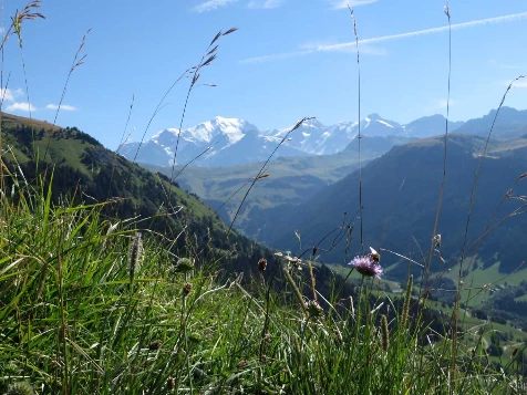 Tour du Beaufortain en liberté - Photo 1