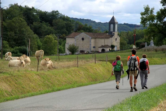 Compostelle à pied et en bus : Le Puy - Cahors - Photo 9
