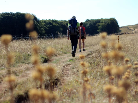 Compostelle à pied et en bus : Le Puy - Cahors - Photo 14