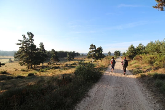 Compostelle à pied et en bus : Le Puy - Cahors - Photo 15