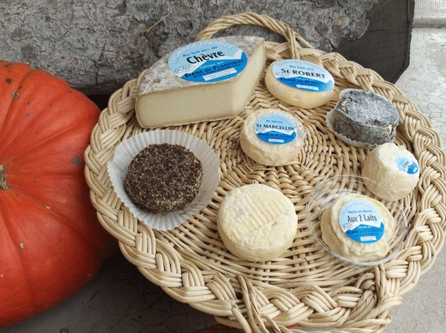 Tour de Chartreuse en liberté - Photo 1