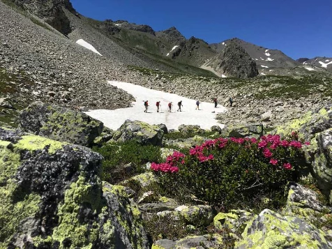 Névache Sauvage - Photo 5