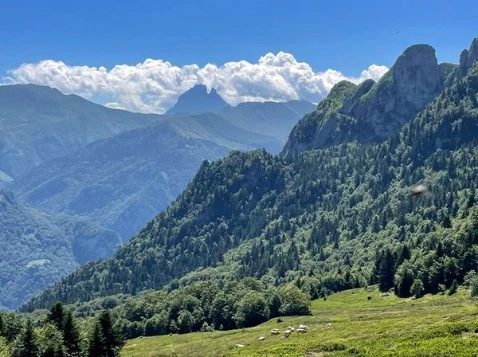 GR 10 : Saint Jean Pied de Port - Etsaut - Photo 7