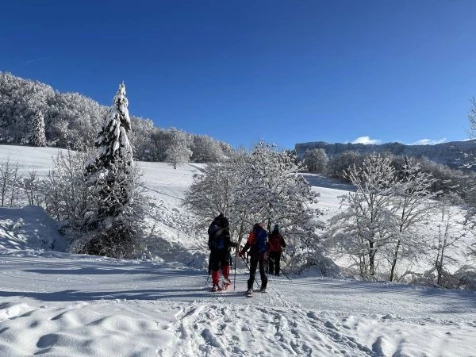Chartreuse : vallons et Alpages - Photo 3