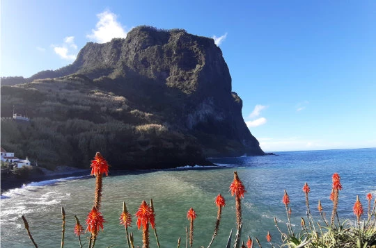 MADERE EN LIBERTE - Photo 3