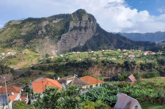 MADERE EN LIBERTE - Photo 5