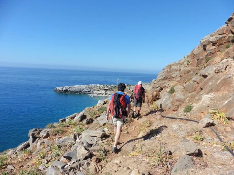 Crête en liberté - Photo 4