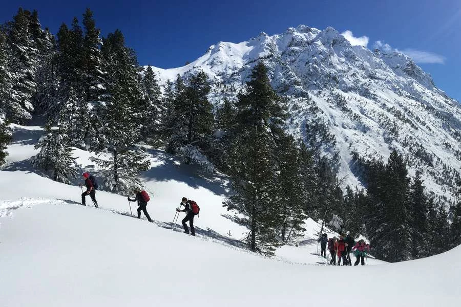 Raquette sauvage en Clarée - Photo 3