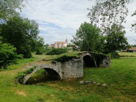 Chemins de Compostelle : Cluny - Le Puy en Velay - Photo 5