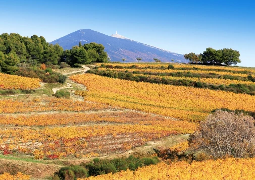 Tour du Mont Ventoux et les Baronnies Provençales - Photo 3