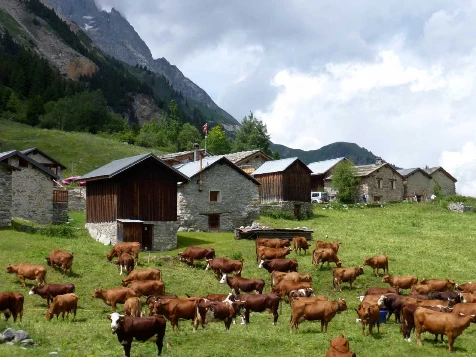 GTA : Chamonix - Briançon, l'intégrale - Photo 4