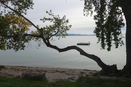 Sur les Pas des Huguenots : Yverdon - Soleure (Suisse) - Photo 11