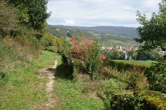 Sur les Pas des Huguenots : Yverdon - Soleure (Suisse) - Photo 9