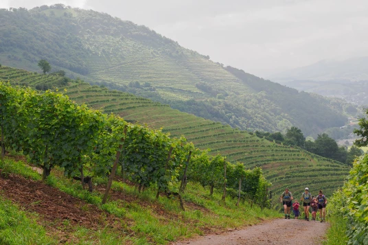 Paysages et Terroirs du Pays Basque - Photo 5