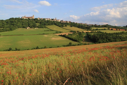 Chemins de Compostelle : Vézelay - Autun - Photo 5