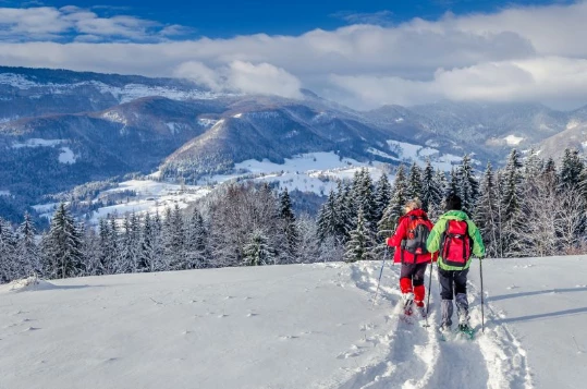 WE Réveillon Chartreuse - Photo 8