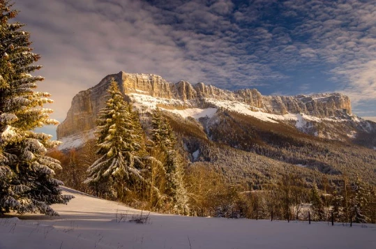 WE Réveillon Chartreuse - Photo 7