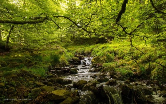 Terroirs du Pays Basque : randos hivernales, raquettes et cuisine gourmande ! - Photo 4