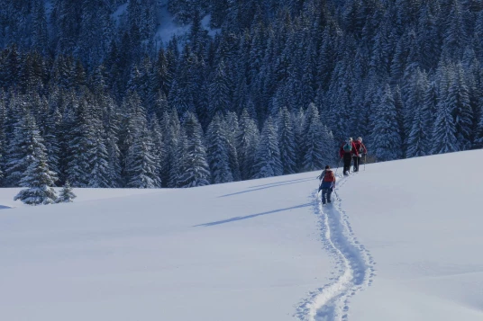 Au Coeur des Aravis - Photo 2