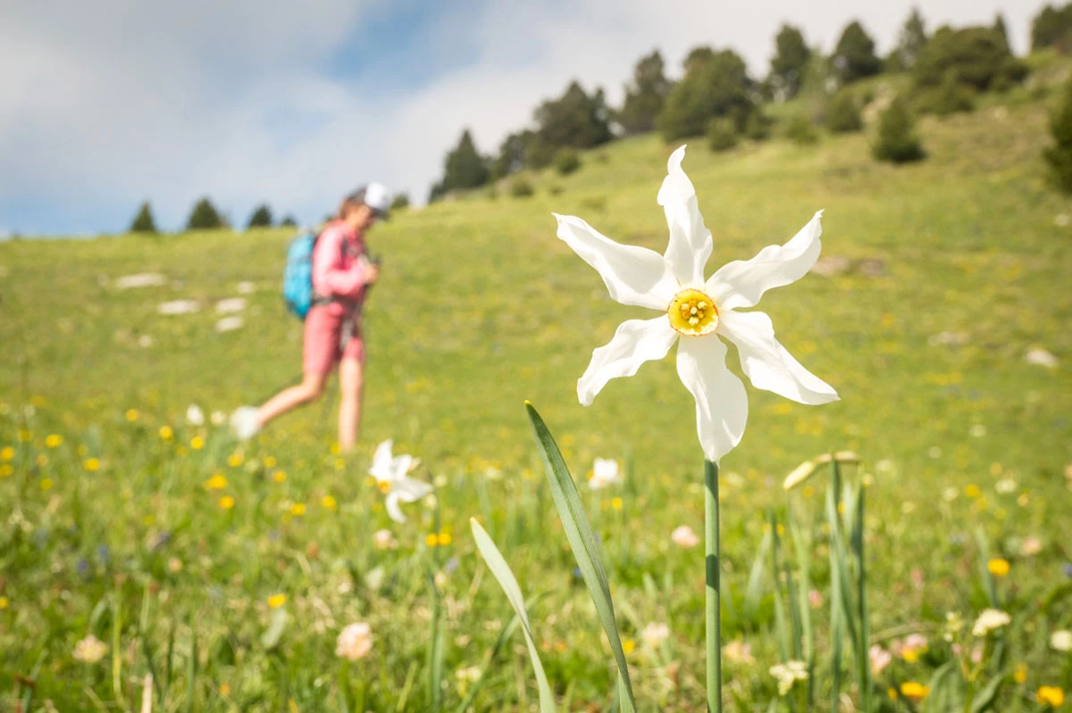 Rando douce en Vercors - Photo 3