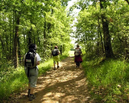 Compostelle à pied et en bus : Le Puy - St Jean Pied de Port - Photo 3