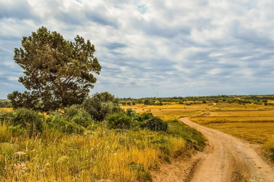 Compostelle à pied et en bus : St Jean Pied de Port - Santiago - Photo 3