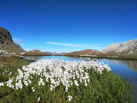 Le Tour du Queyras sportif en VTT liberté - Photo 5
