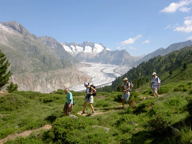 Rando & Balnéo à Aletsch - Photo 6