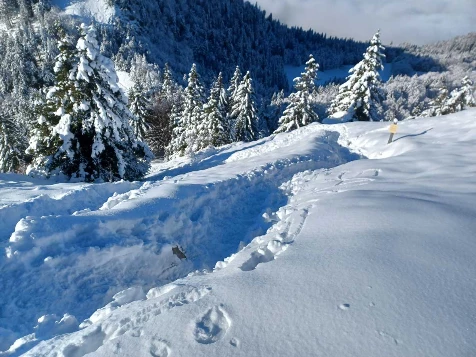 Traversée du Chablais - Photo 4
