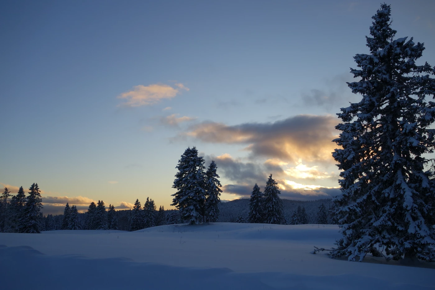 WE Réveillon sur les Crêtes du Jura - Photo 4