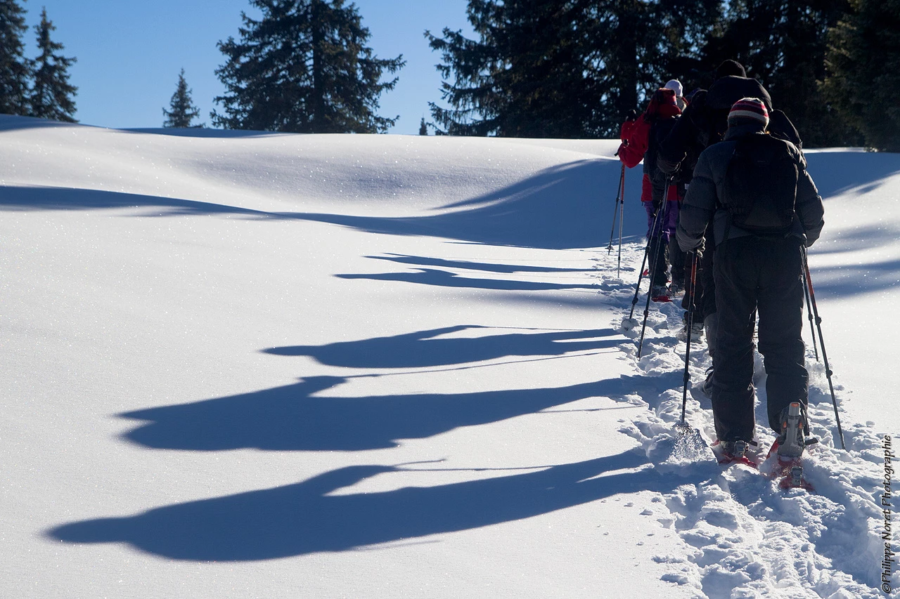 WE Réveillon sur les Crêtes du Jura - Photo 5