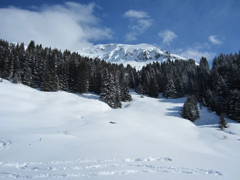 Panoramas en Abondance - Photo 12