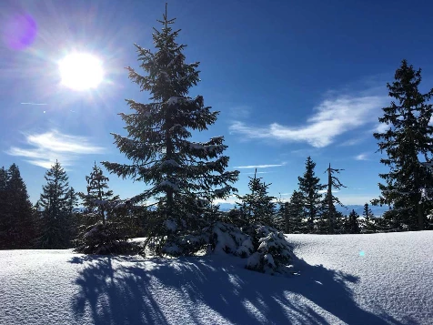 Week-end Trappeur Jura - Photo 1