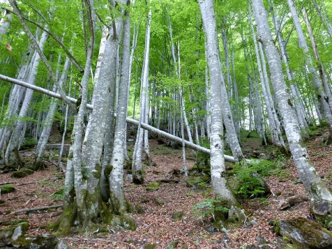 Multi Activités au Pays du Mont Blanc - Photo 12