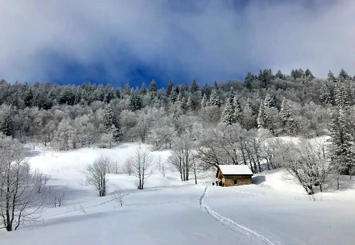 Aventure nordique en Vercors (sportif) - Photo 8