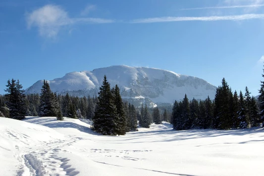 Raquettes & Bien Etre dans le Vercors - Photo 6
