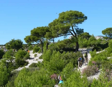 WE Réveillon dans les Calanques de Cassis - Photo 7