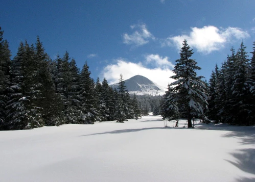 Traversée de l'Ardèche en liberté - Photo 8