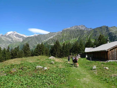 Tour du Mont Blanc Complet - Photo 9