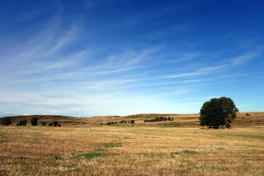 Chemins de Compostelle : Nasbinals - Conques - Photo 10