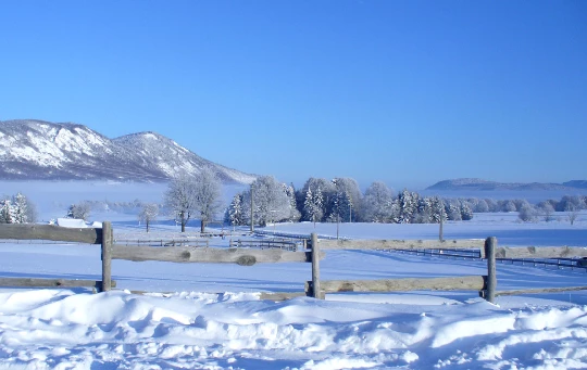 WE Réveillon Vercors Sauvage - Photo 2