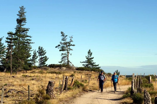 Chemins de Compostelle : Le Puy - Conques - Photo 6