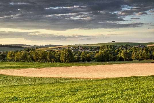 Chemins de Compostelle : Lectoure - Aire sur Adour - Photo 8