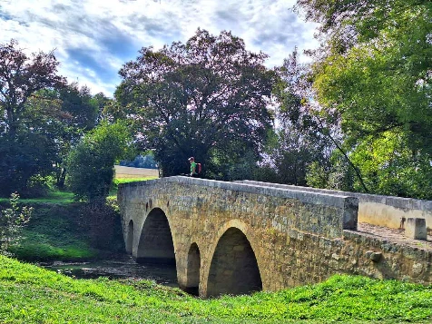 Chemins de Compostelle : Lectoure - Aire sur Adour - Photo 10