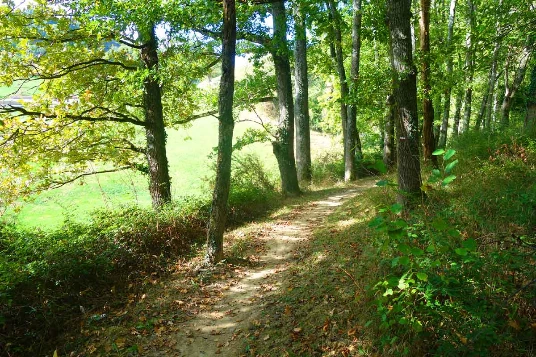 Chemins de Compostelle : Aire sur Adour - St Jean Pied de Port - Photo 10